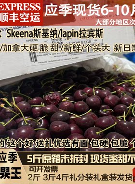5JD车厘子智利进口黑车厘子顺丰