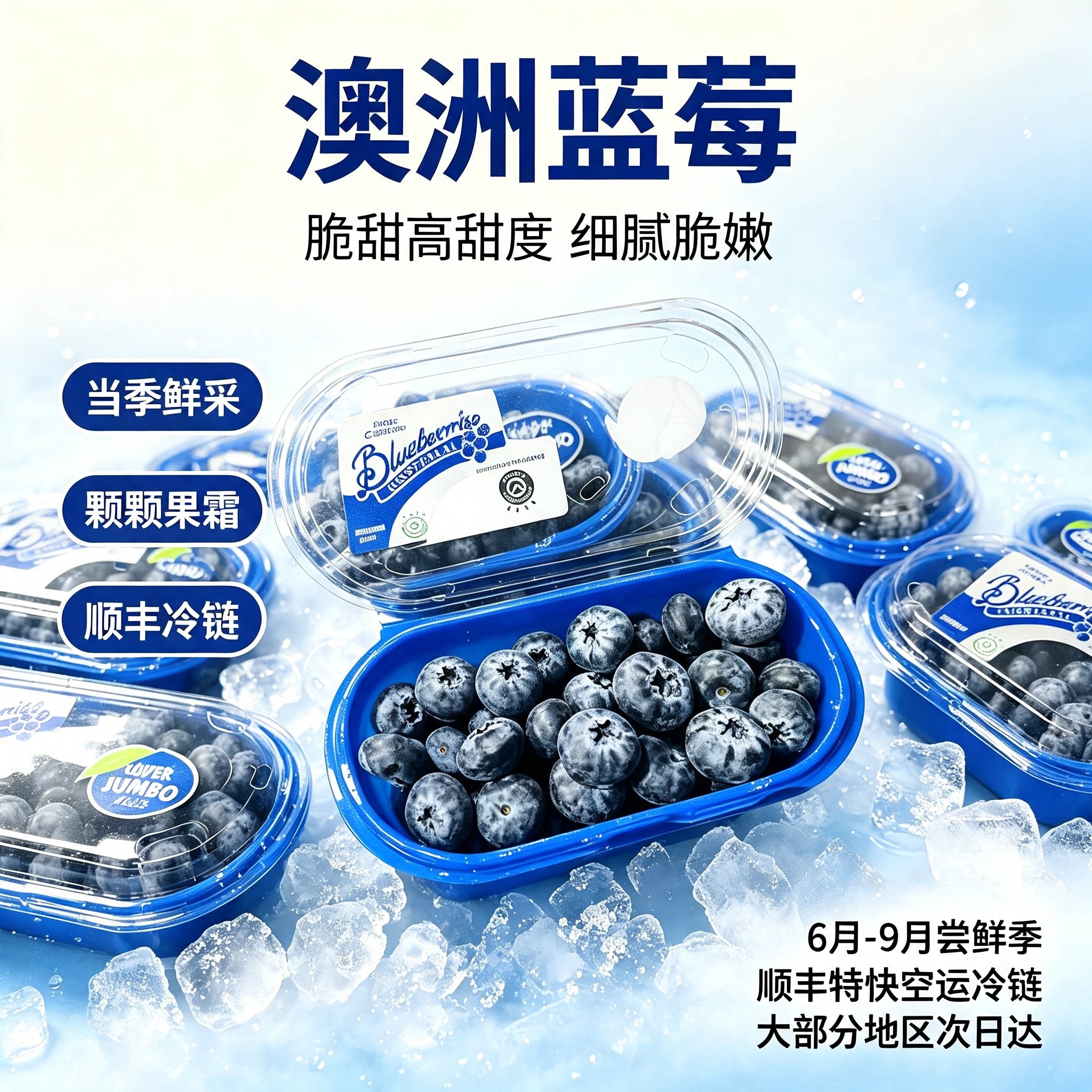 澳洲特大果蓝莓新鲜脆甜22+