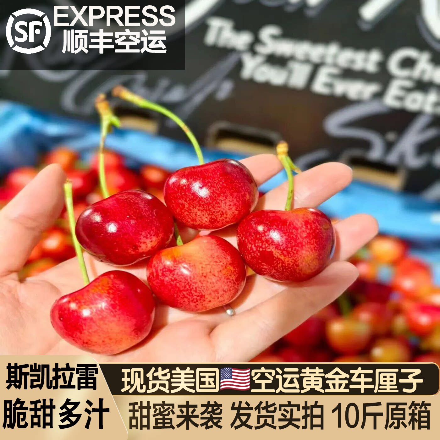 美国进口skylar rae金车斯凯拉雷黄金车厘子高端孕妇水果樱桃礼盒