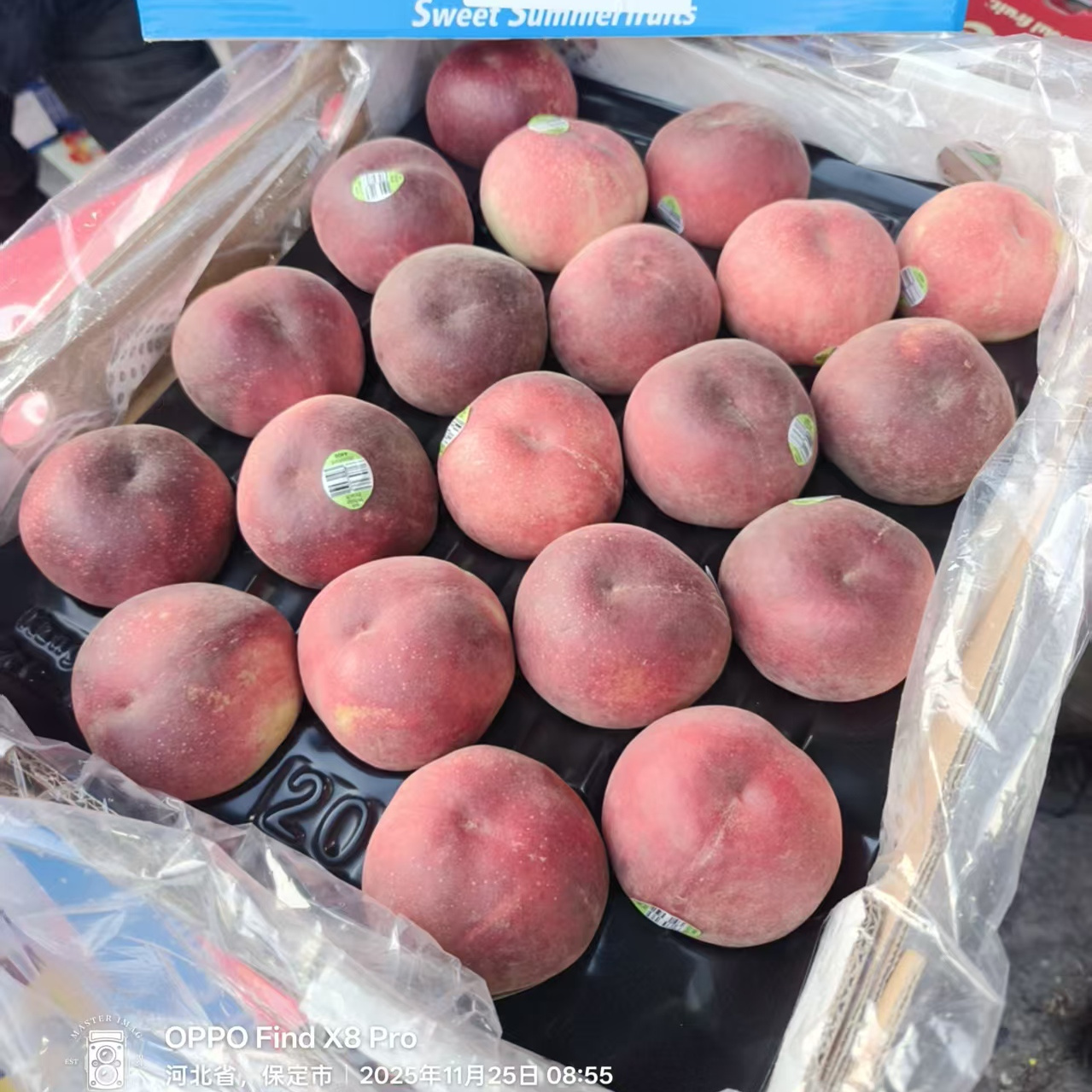 澳洲进口新鲜水蜜桃礼盒装