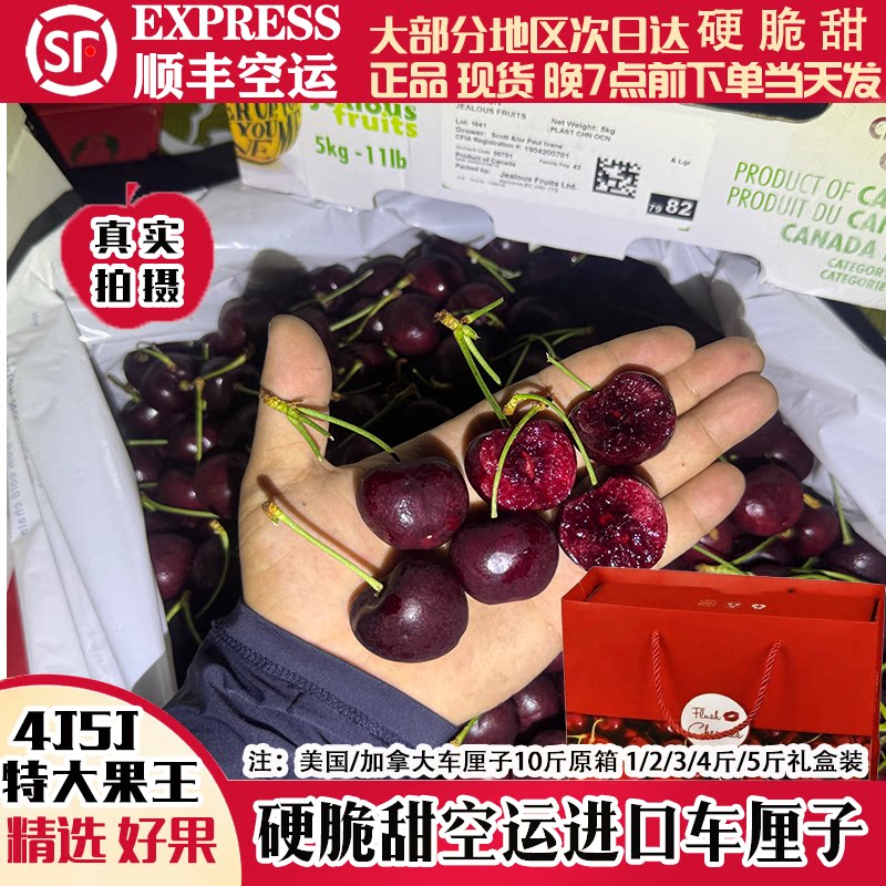 美国进口拉宾斯车厘子5斤礼盒特大4j5j新鲜樱桃顺丰冷链孕妇水果