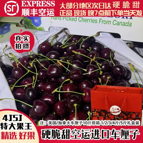 新鲜车厘子5J顺丰当天发可开发票