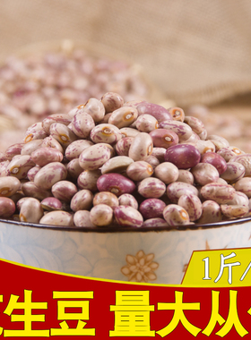 贵州特产 雀蛋豆农家自种金丝豆红花芸豆熬粥煲汤1包X500g花生豆