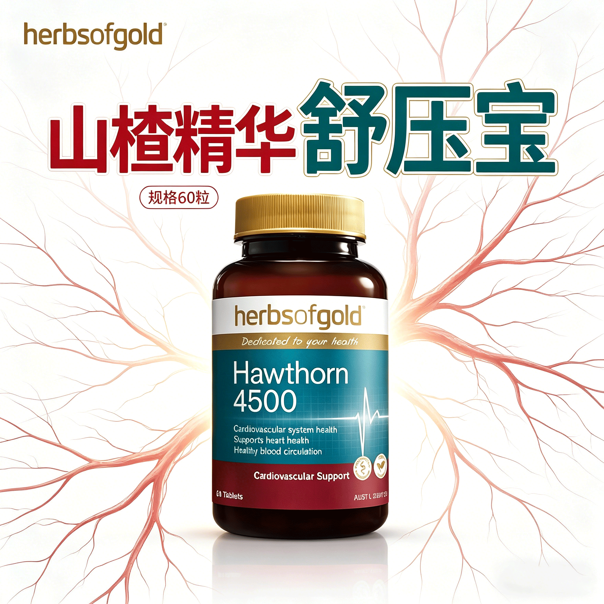 Hawthorn舒压宝山楂精华片澳洲进口中老年血管舒缓片压高保健品