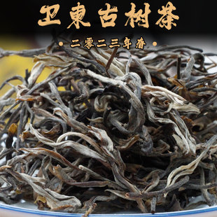 高端普洱茶散茶訂制2023年布朗山衛(wèi)東古樹茶普洱茶生茶云南普洱茶