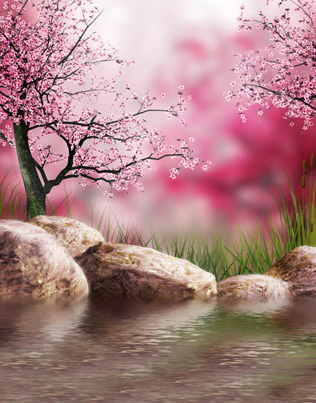 Bjd娃娃4分 ページ50