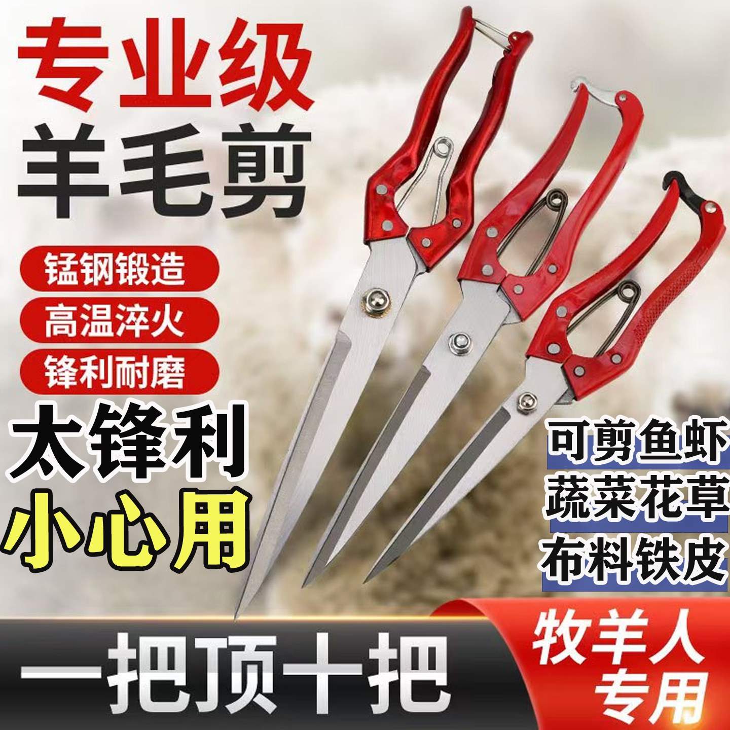 新款高端进口SK-5钢专用羊毛剪图片