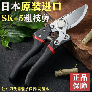 优选 日本进口SK5钢强力园林粗枝剪果树修枝剪刀园林专用神器正品