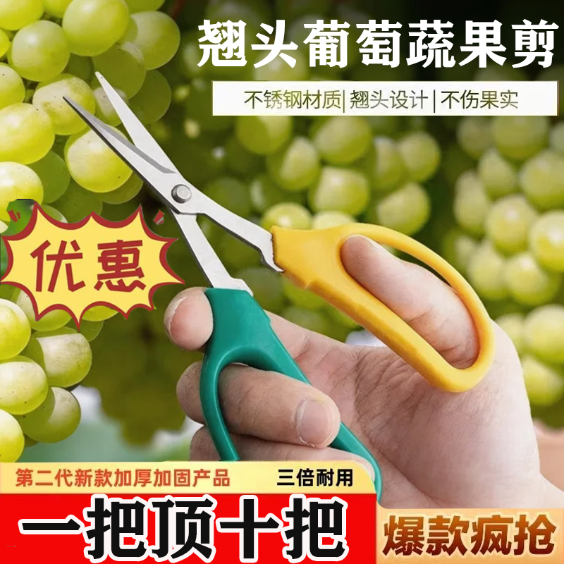 新款葡萄粒剪刀进口摘果剪小剪刀翘头园林剪刀蔬果剪家用修花剪刀