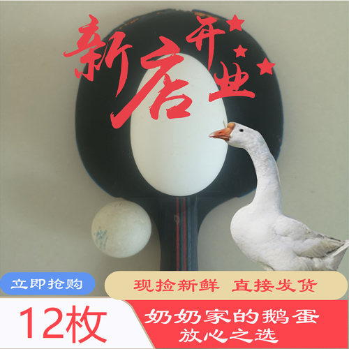鹅蛋超大180-240g散养新鲜特大农家土鹅蛋正宗现捡现发12枚