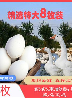 鹅蛋精选8枚特大150g-180g新鲜农家孕妇土鹅蛋超大鹅蛋8枚