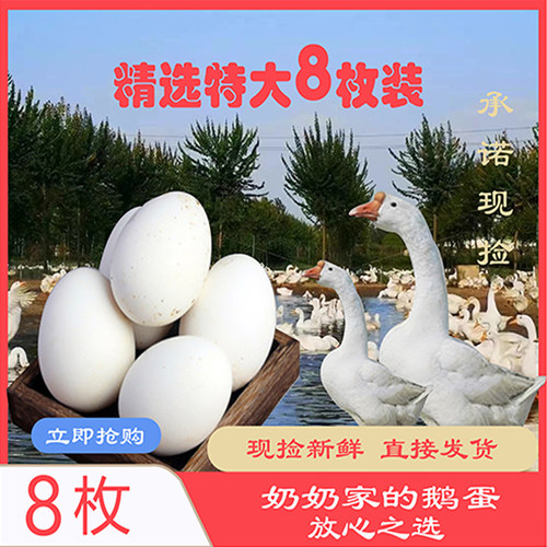 鹅蛋精选8枚特大150g-180g新鲜农家孕妇土鹅蛋超大鹅蛋8枚
