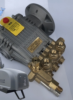 苏州鲸鱼BZ1115A/0918B/0815A/1919/1515洗车机泵头总成铜220V