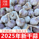 2025新干蒜白皮紫皮大蒜头5斤特大正宗农家特色蔬菜直播卖货批发