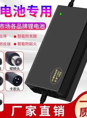 锂电池电动车充电器48V3A36V60V5A24V2A72伏锂离子哈雷平衡车滑板