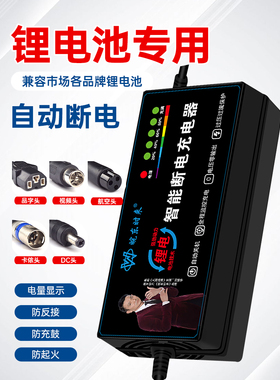 锂电池电瓶车充电器48V2A60V36V72V3A电动车智能滑板车代驾车通用