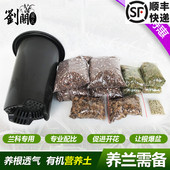 兰花专用君子兰石斛植物营养套装 刘阁兰花 兰科花卉通用特调土