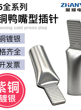 C45-10/16/25/35/50/70插针插片铜端子 接线紫铜线鼻子鸭嘴式空开