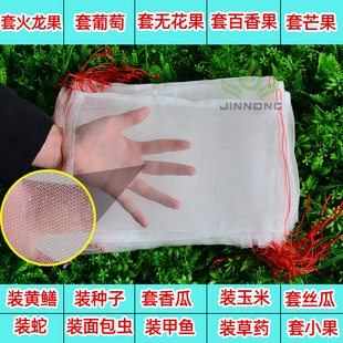 尼龙网袋子种子袋大浸种袋水果防虫纱网袋细火龙果黑套袋细眼加厚