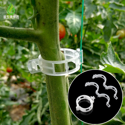 哈密瓜夹西红柿黄瓜绑蔓夹绑枝夹吊蔓扶蔓藤蔓塑料植物固定小夹子 - 封面