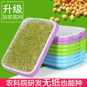 芽苗菜育苗盘纸上种菜育苗盆小麦草双层种植盘多功能芽菜盘豆芽盘
