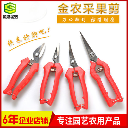 柑橘采果剪蔬果剪金农