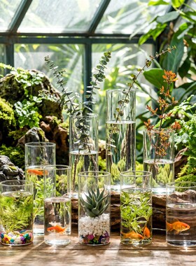 High Borosilicate Glass Hydroponic Desktop Vase