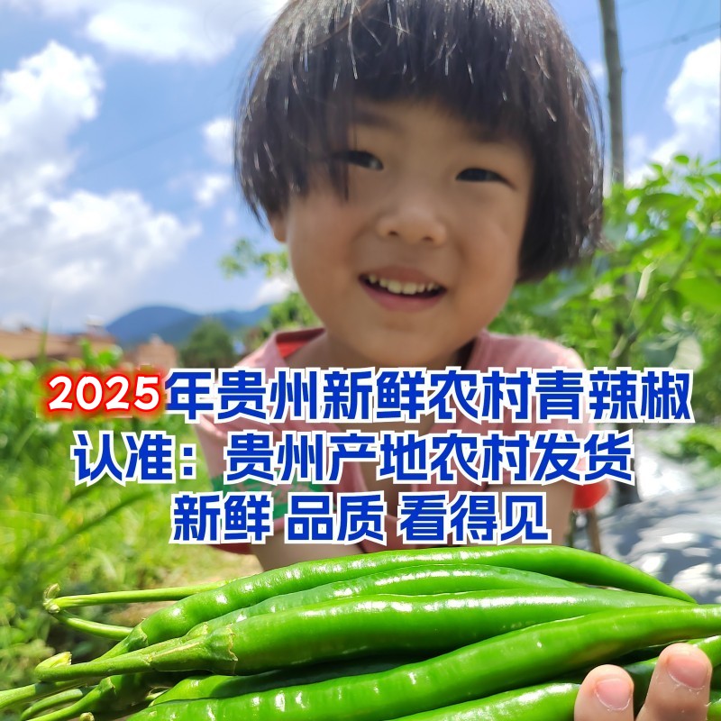 新鲜二荆条青辣椒中辣爽口