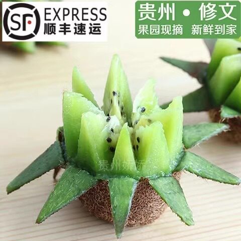 修文新鲜现摘贵长猕猴桃孕妇水果