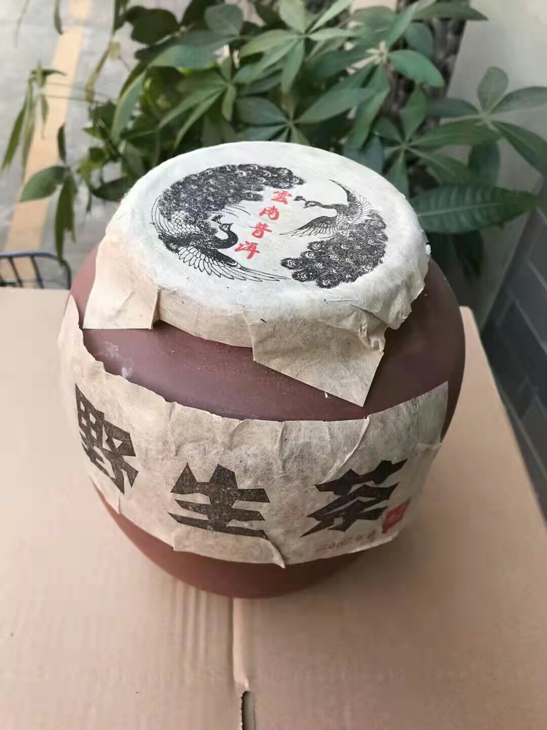03年云南省普洱茶研究组研制出品 班章野生大树茶 500克一罐