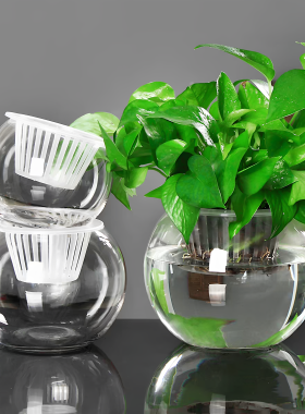 加厚透明塑料花盆自动吸水k可水