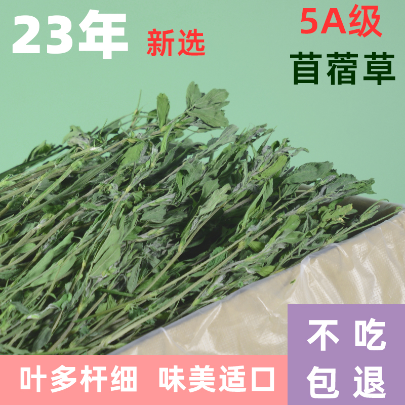 添爱宠物兔兔干草23年新苜蓿草