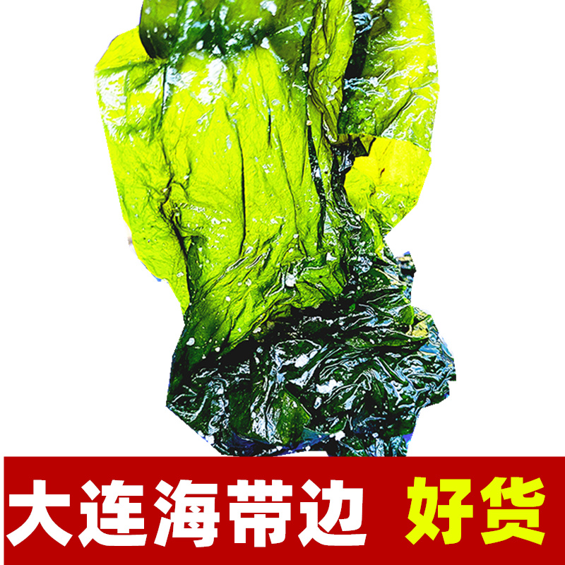 海带新鲜盐渍包饭裙带干货整箱