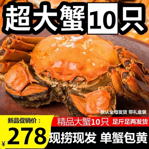 特大大闸蟹活蟹鲜活公母发礼盒装