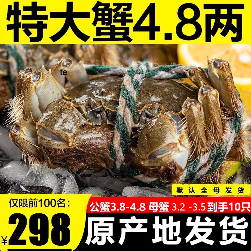 鲜活大闸蟹特大大闸蟹全母蟹10只发货螃蟹海鲜水产送礼礼盒包装
