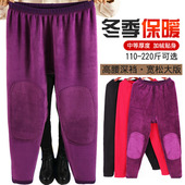 特大码 加绒加肥加大保暖裤 女士加厚秋裤 中老年人护膝棉毛裤 热能裤