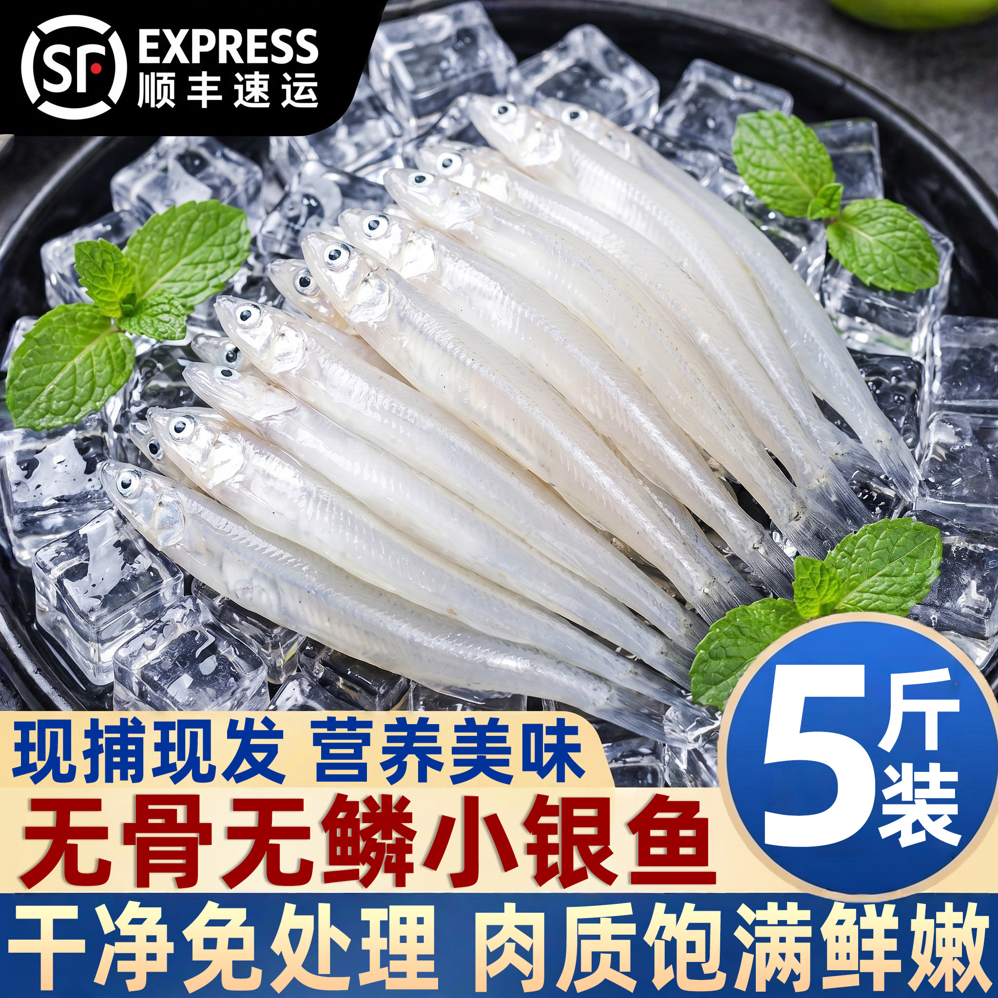 新鲜速冻小银鱼宝宝辅食
