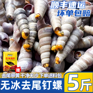 无冰去尾钉螺鲜活速冻海螺丝