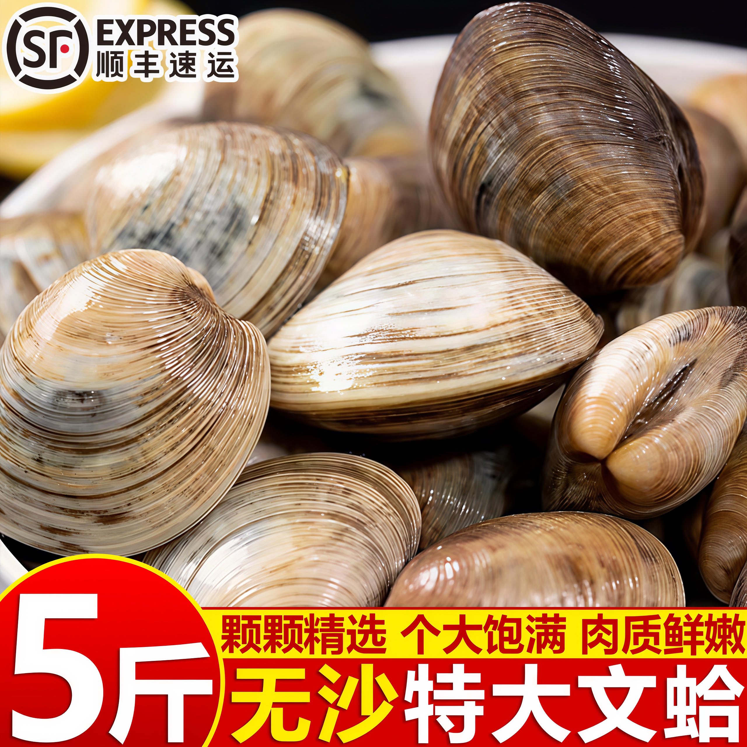 野生无冰速冻无沙大文蛤