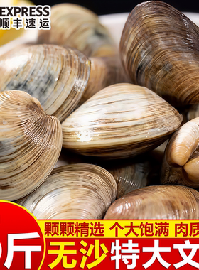 野生无冰速冻无沙大文蛤