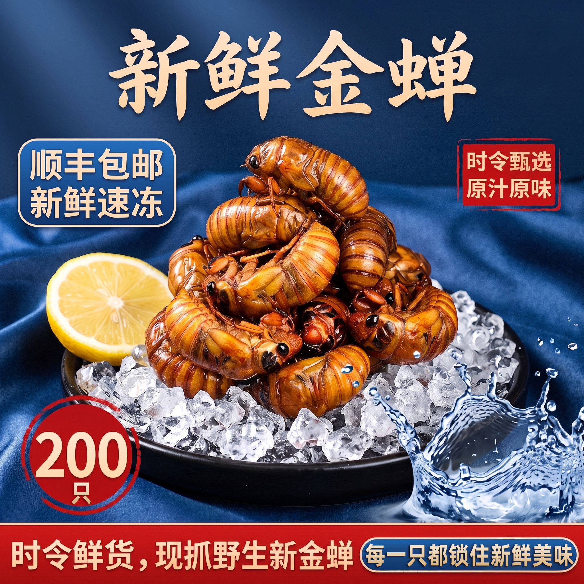 鲜冻当季金蝉知了猴顺丰速发