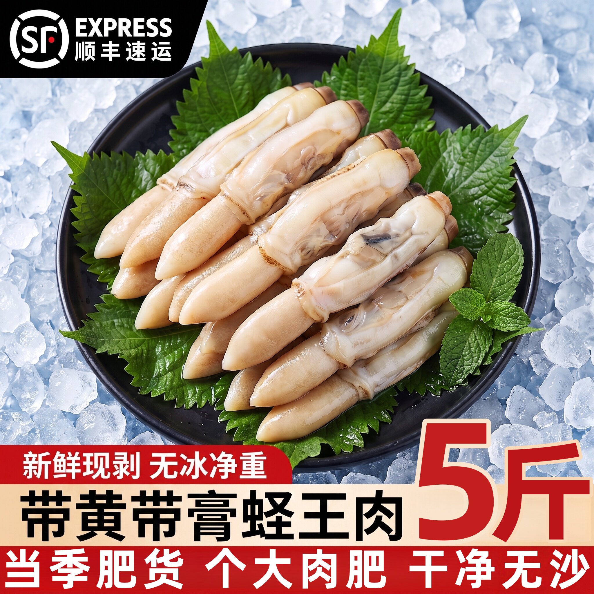 蛏王肉带黄带膏新鲜去壳活冻超大竹蛏子肉特大鲜冻现剥蛏子肉海鲜