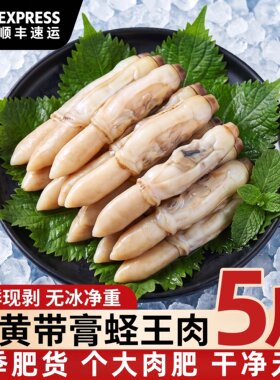 蛏王肉带黄带膏新鲜去壳活冻超大竹蛏子肉特大鲜冻现剥蛏子肉海鲜