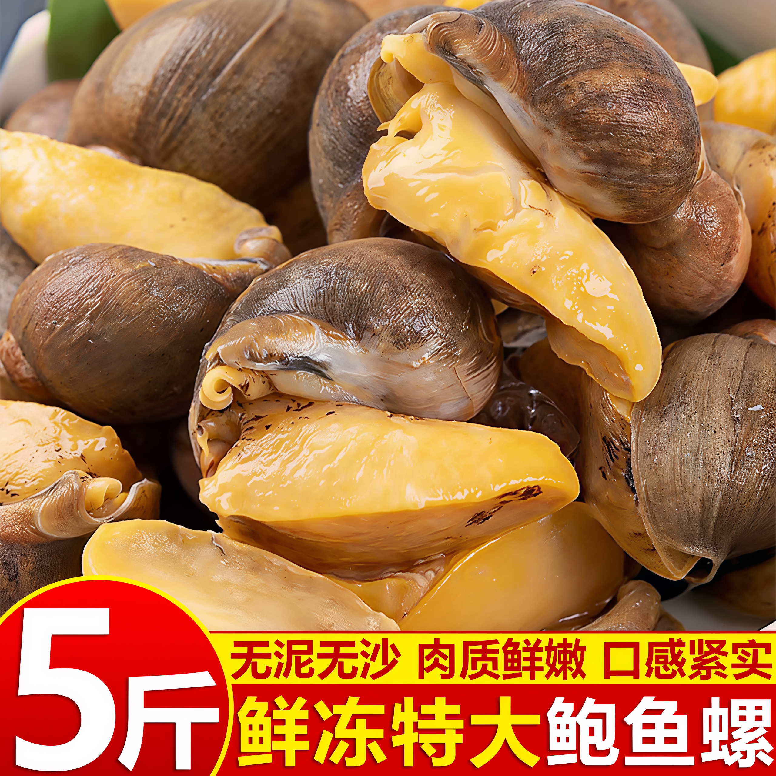 特大号黄金鲍鱼螺鲜活速冻商用