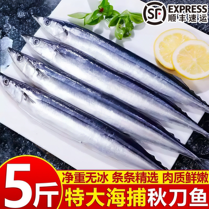 新鲜秋刀鱼冷冻特大号日式料理烧烤海鱼食材海鲜水产商用批发