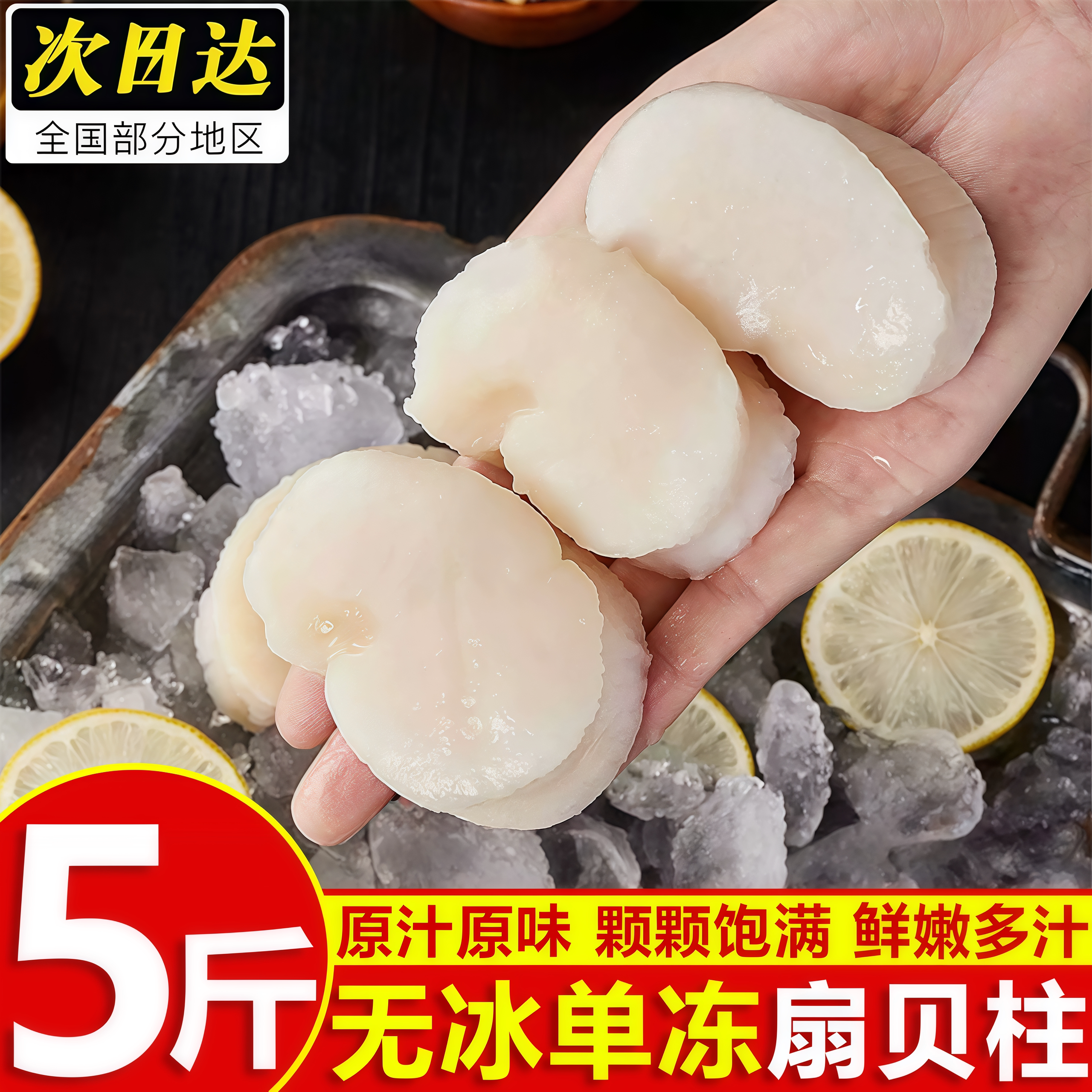 鲜冻现剥扇贝柱速冻贝柱商用