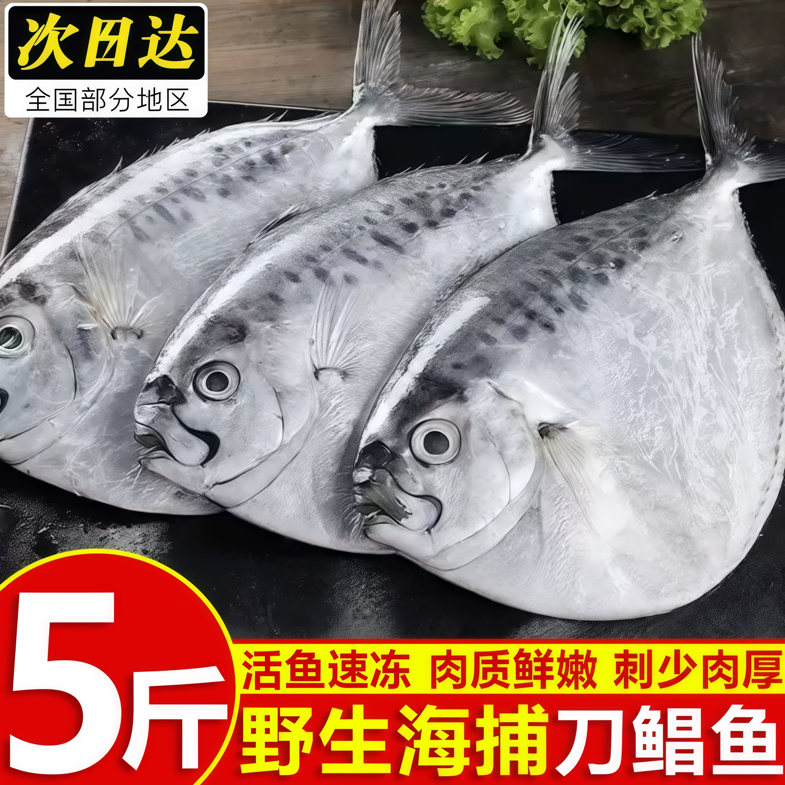 海捕鲜冻大刀鲳整箱批发