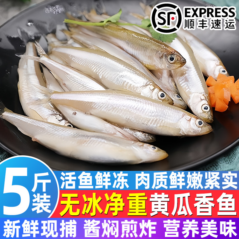 黄瓜香鱼正宗东北黄瓜香小公鱼东北特产冷水鱼淡水鱼新鲜速冻锁鲜