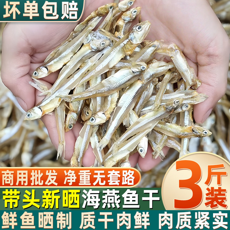 海燕鱼干小鱼干小鱼仔毛毛鱼干海鲜干货小咸鱼干自晒风干小江鱼仔