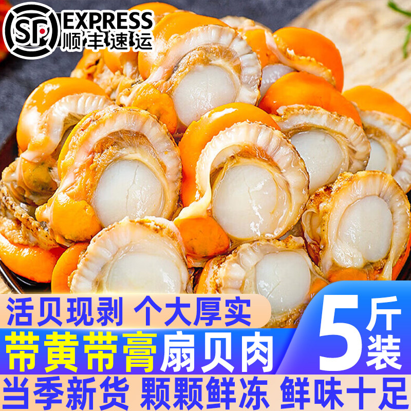 现剥鲜冻带黄带膏特大扇贝肉
